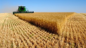 Victory! World’s Largest Nation Bans GMO Food Crops