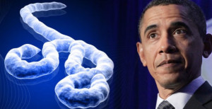 Обама начал новую военную интервенцию — теперь против вируса...
